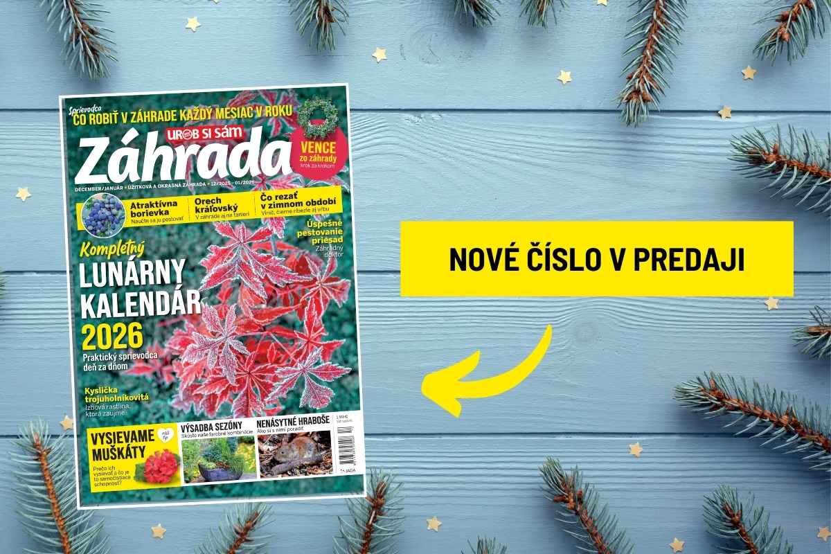 Časopis Záhrada 10/2025-01/2026
