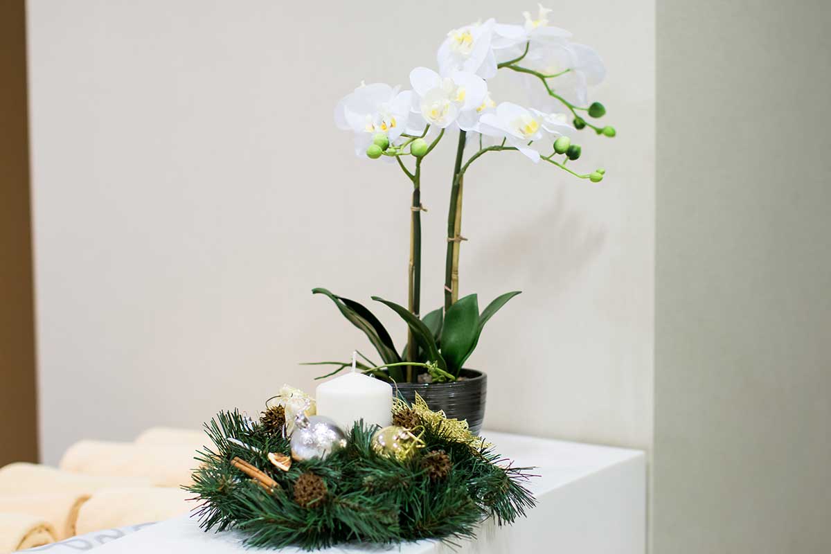 Orchidea Foto: Shutterstock