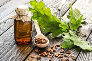 Starodávny prírodný liek, ktorý precestoval svet. Aké účinky má dubová kôra?