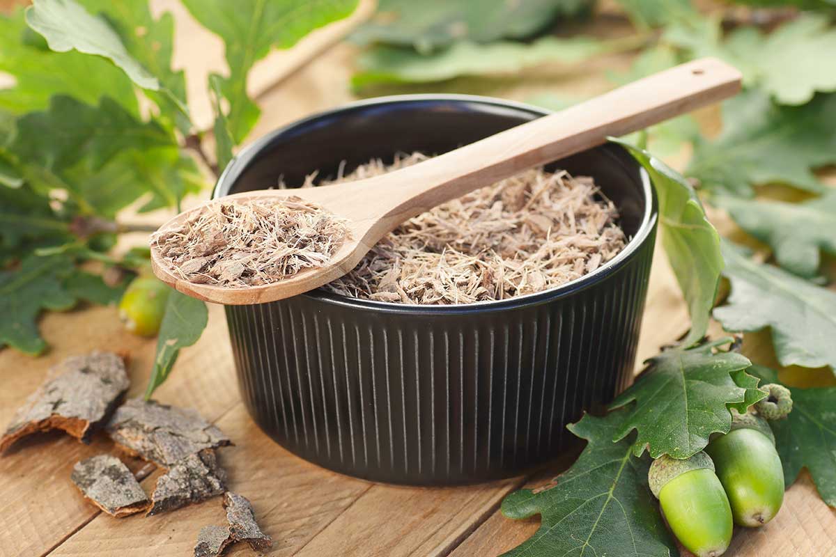 Účinky dubovej kôry 