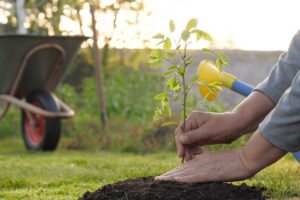 Ekologická ochrana sa v záhrade skloňuje často. Čo to vlastne znamená?