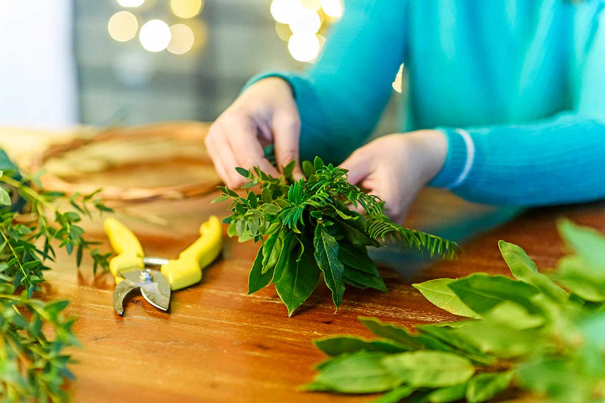 Strihanie vetvičiek na prírodný vianočný veniec