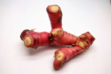 Galgan ako ázijská korenina