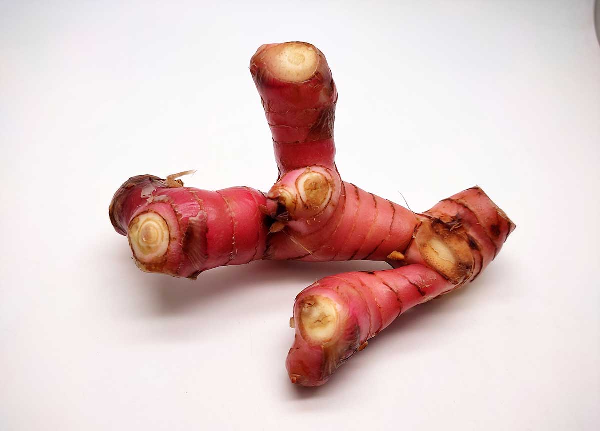 Galgan ako ázijská korenina