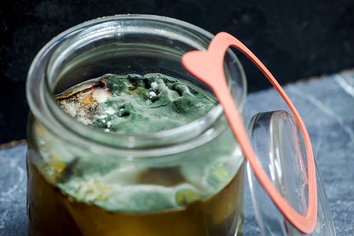 Kvasenie a plesnivenie zaváranín