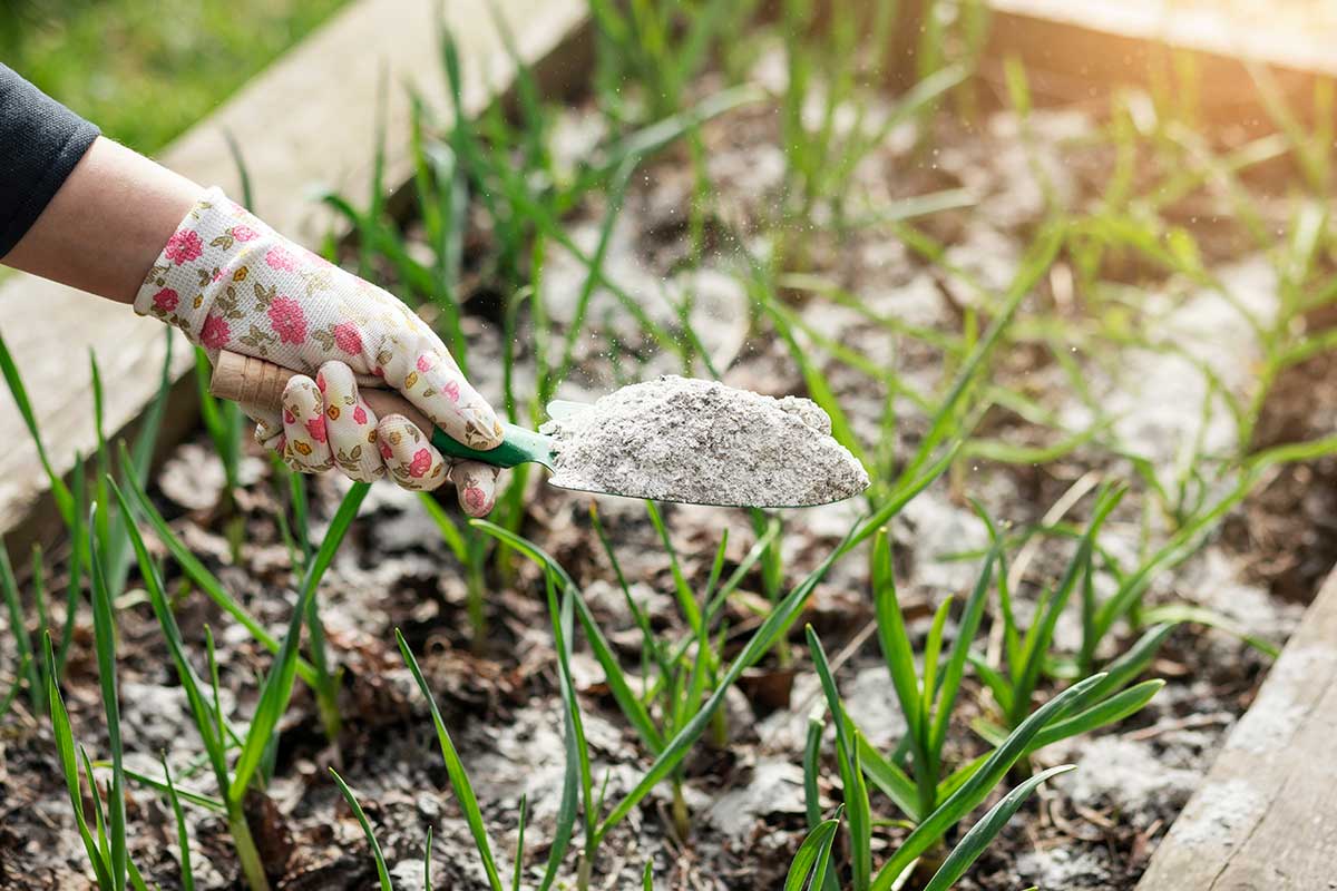 V minulosti bol popol doplnkom každej záhrady, pretože vznikal „zadarmo“ pri kúrení. Foto: Shutterstock
