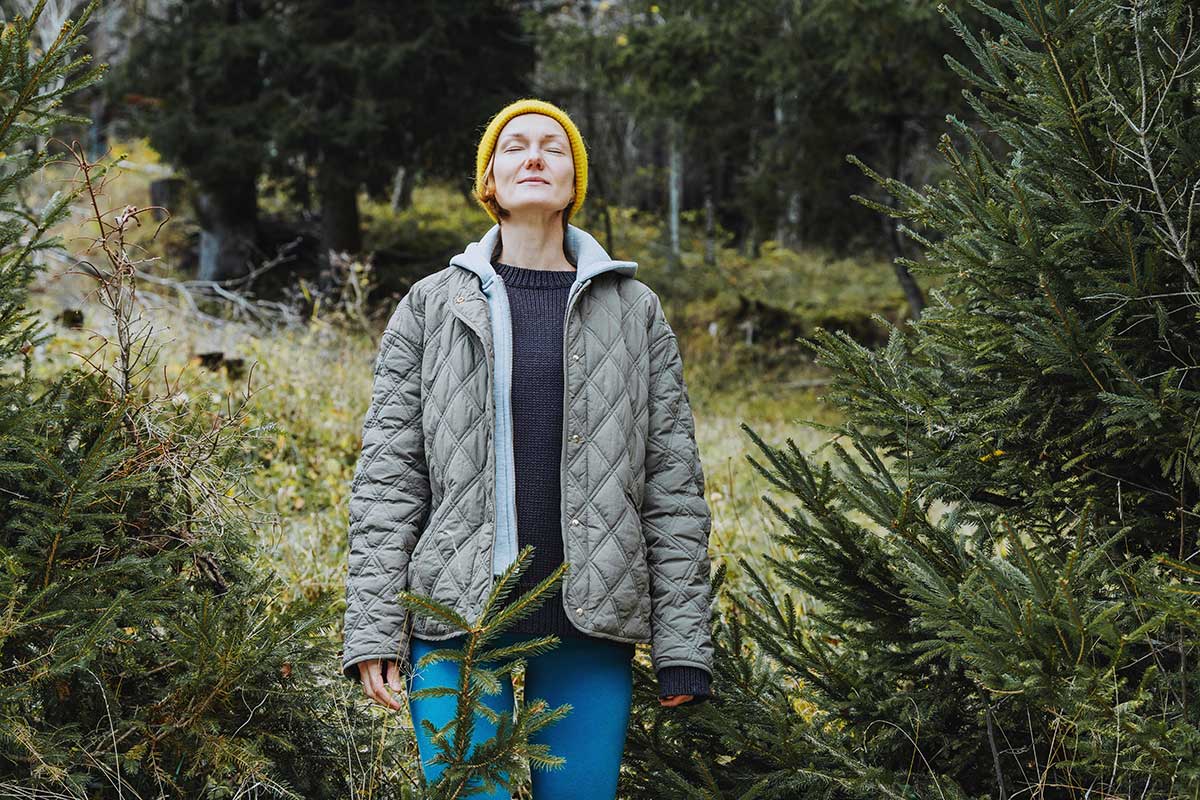 Prírodná vôňa ihličnatých stromov