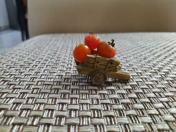 Mini úroda paradajok