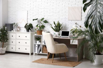 Vhodné rastliny do pracovne a kancelárie