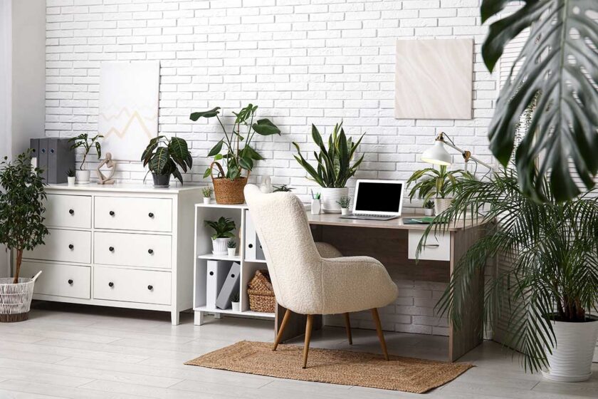 Vhodné rastliny do pracovne a kancelárie