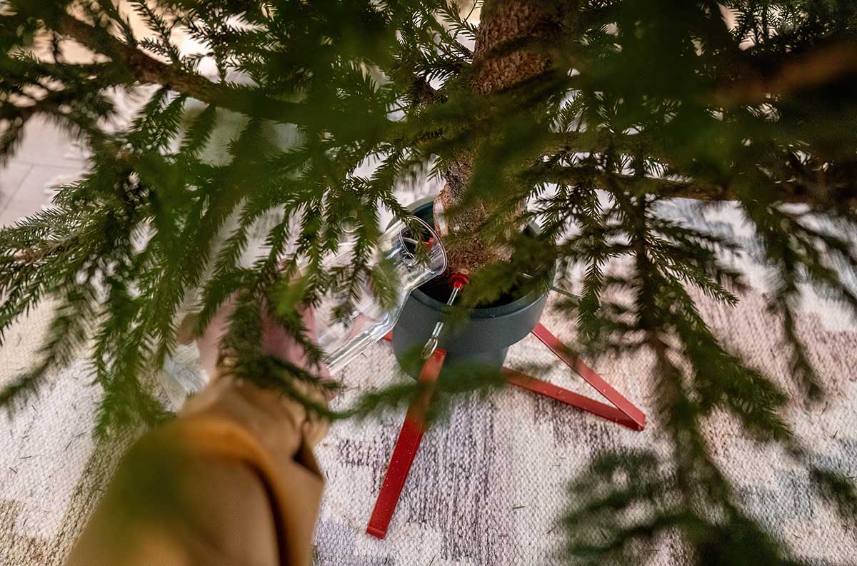 Dolievanie vody do stojana vianočného stromčeka