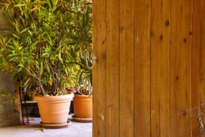 Pri zimovaní v pivnici zhnedli oleandrom listy. Ako im pomôcť?