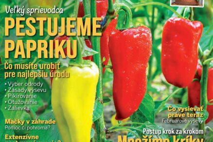 Titulná strana časopisu Záhrada 02/2026
