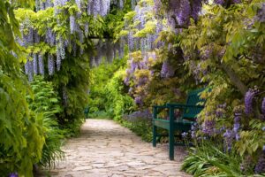 Ste fanúšikom Bridgertonu? Toto by nemalo chýbať v záhrade ako z romantického seriálu