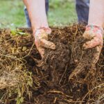 Zlepšenie a prevzdušnenie ílovitej pôdy