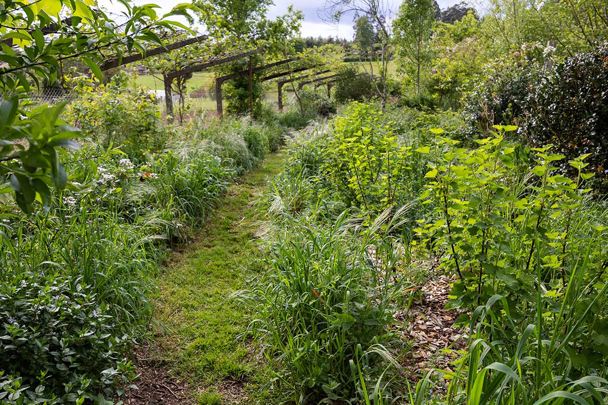 Chaotické záhradkárčenie