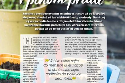 Článok Februárové výsevy v plnom prúde v časopise Záhrada