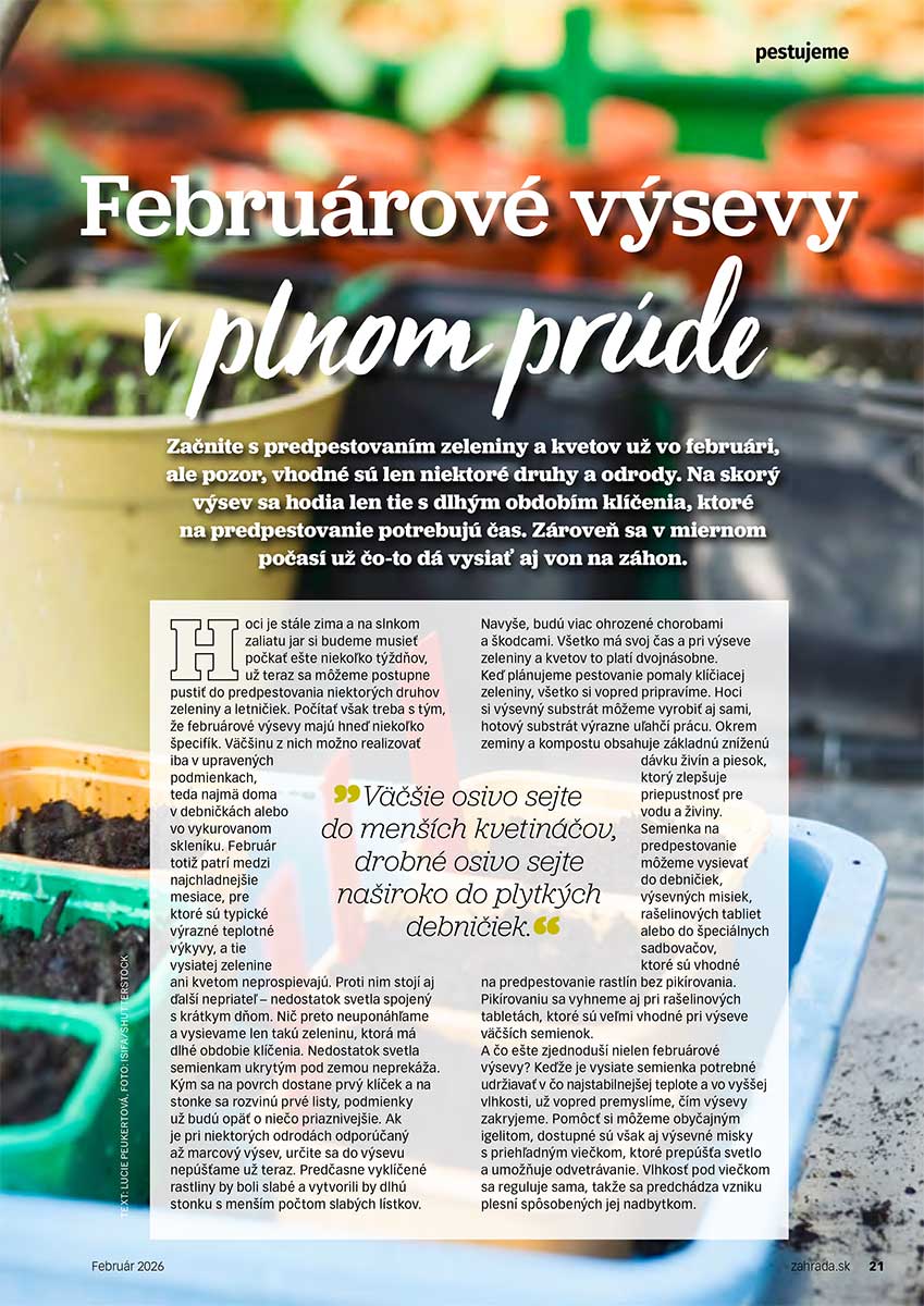 Článok Februárové výsevy v plnom prúde
