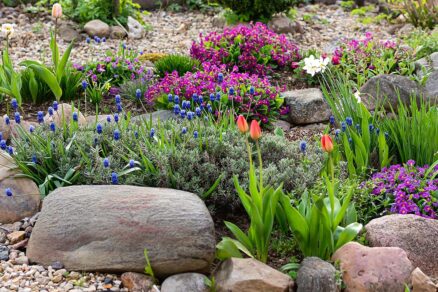 Kamene ako prírodný ohrievač rastlín