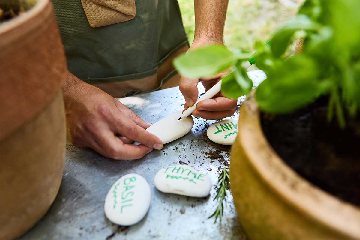 Menovky na rastliny z kameňov