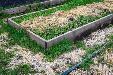 Ochrana vyvýšeného záhona mulčom