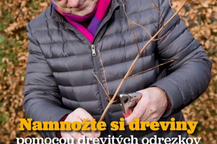 Článok Namnožte si dreviny pomocou drevitých odrezkov v časopise Záhrada