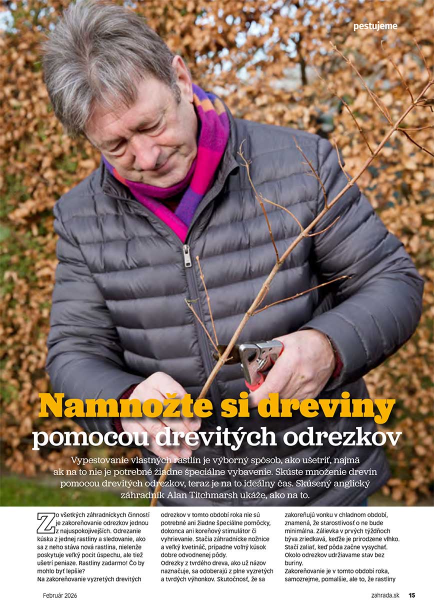 Článok Namnožte si dreviny pomocou drevitých odrezkov