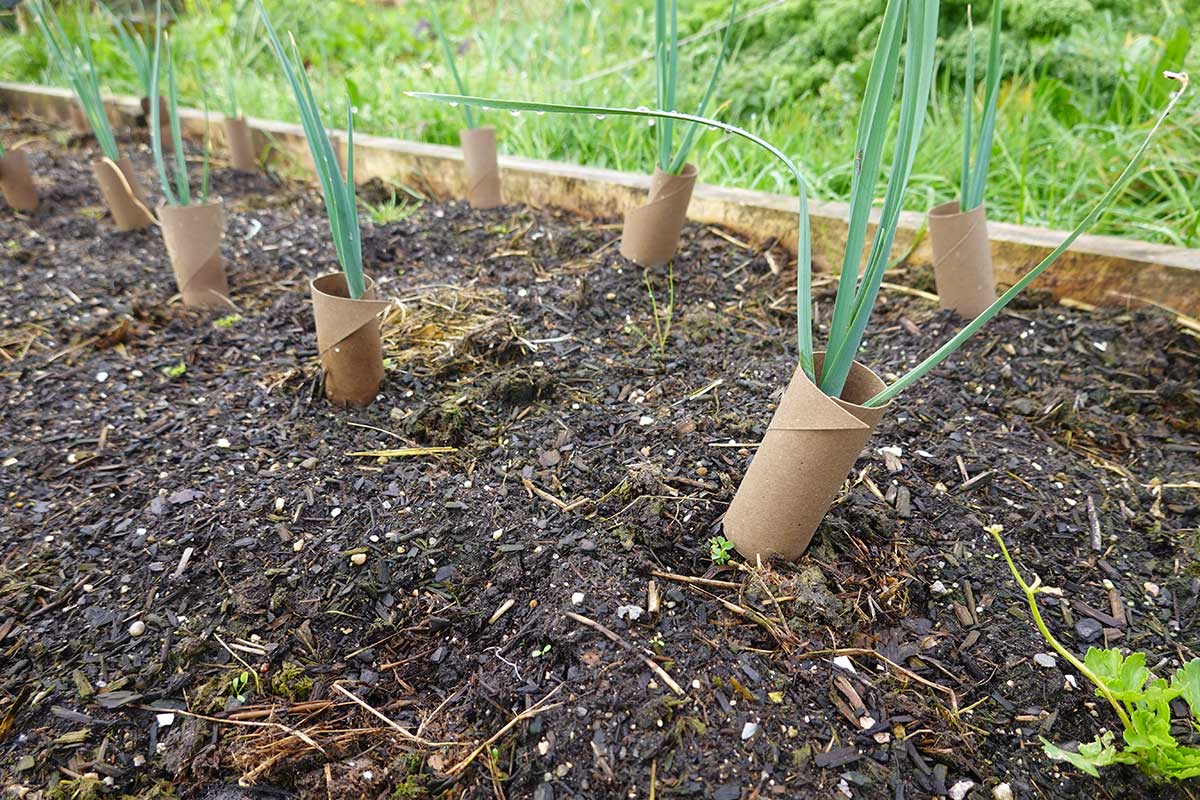 Ochrana priesad pred škodcami