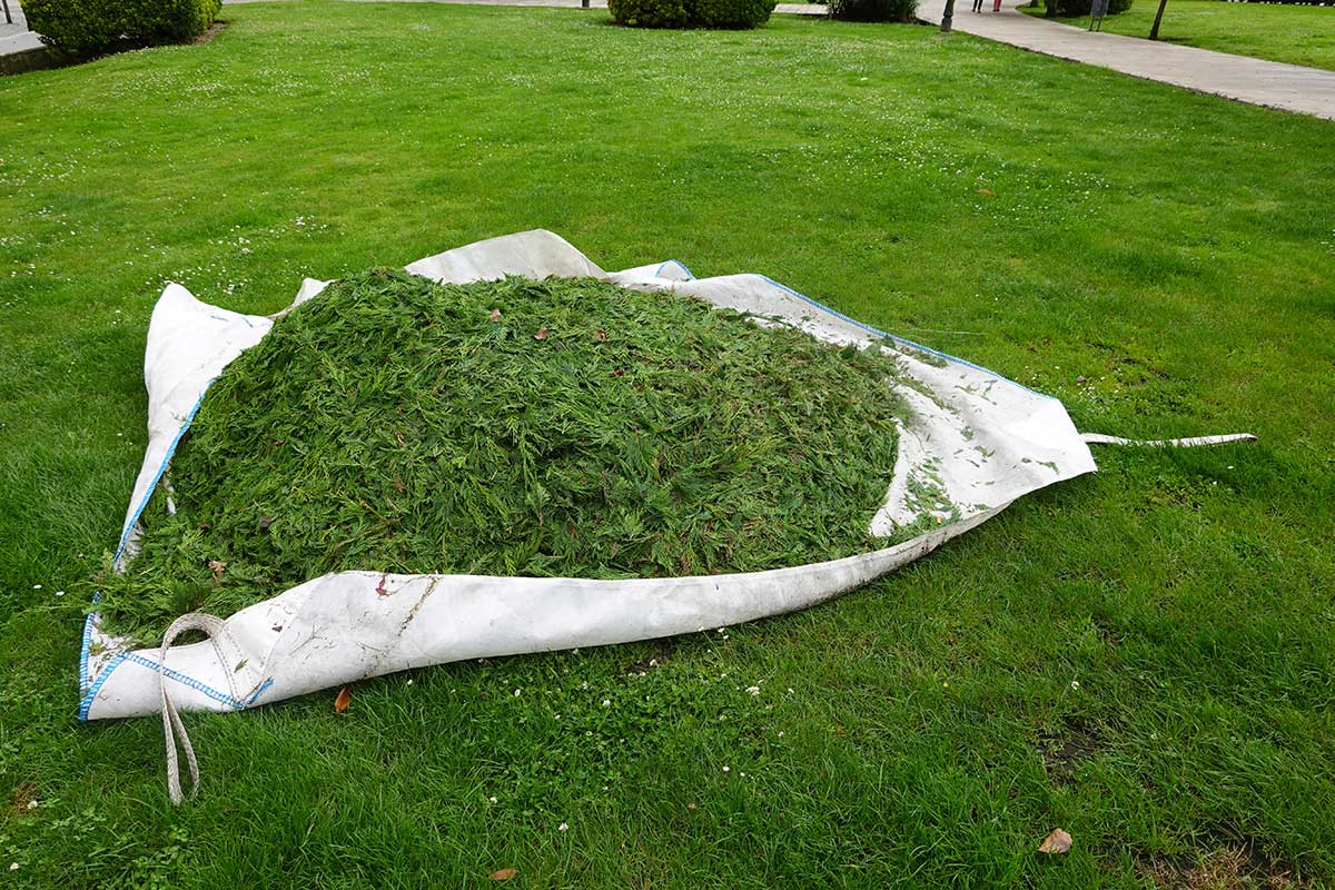 Plachta ako pomocník do záhrady