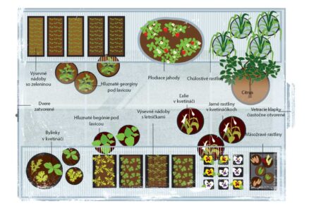 Sezónny plán v skleníku na jar