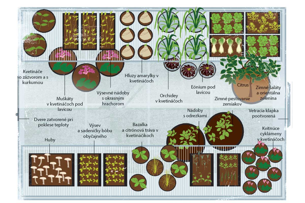 Sezónny plán v skleníku na jeseň