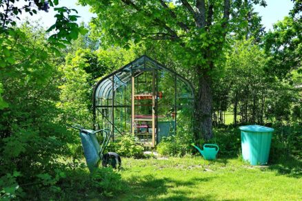 Skleník na jar