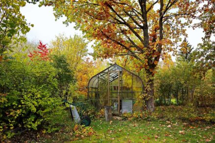 Skleník na jeseň
