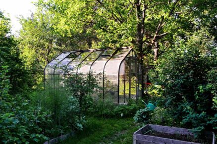 Skleník v lete