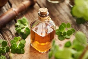 Prečo pri výrobe tinktúry nesmú zhnednúť lístky nádchovníka? Radí skúsená záhradkárka