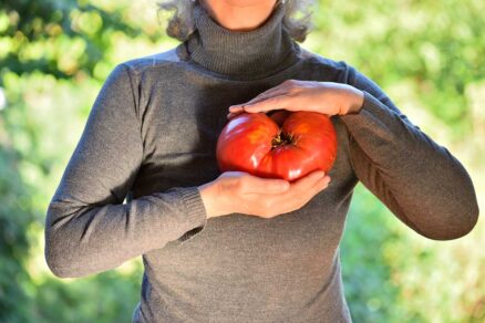 Top rastliny v záhrade za rok 2025