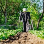 Triky do záhrady, ktoré fungujú