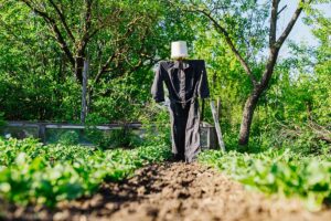 20 jednoduchých záhradkárskych trikov, ktoré vám ušetria čas aj nervy