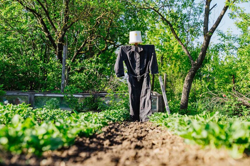 Triky do záhrady, ktoré fungujú