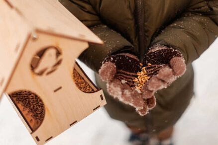 Dopĺňanie vtáčieho kŕmidla semienkami