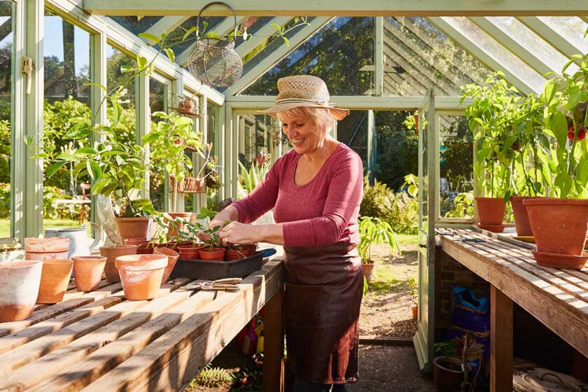 Ako využiť skleník počas celého roka