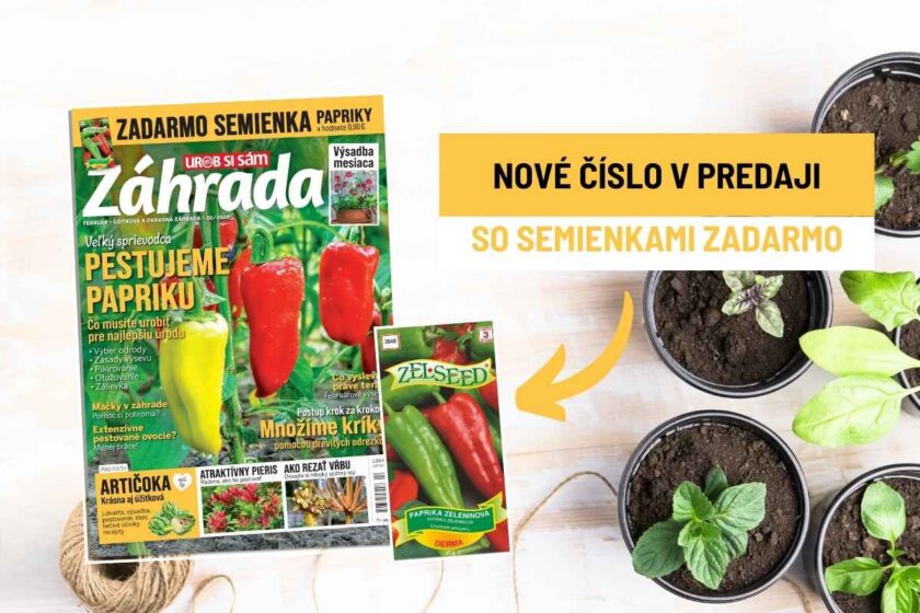 Časopis Záhrada 02/2026