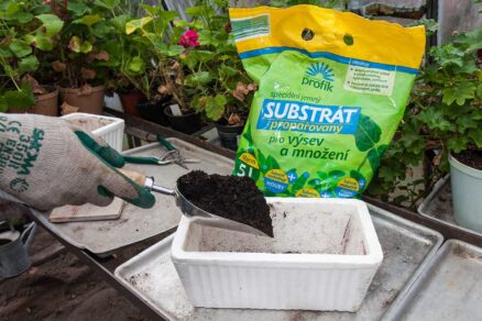 Naplnenie nádoby výsevným substrátom