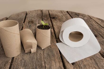 Ako poskladať rolku toaletného papiera na výsev semien