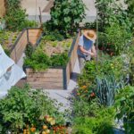 Starostlivosť o vyvýšené záhony