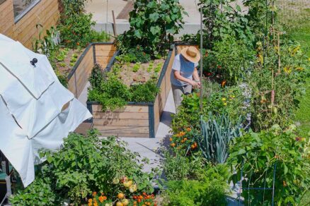 Starostlivosť o vyvýšené záhony