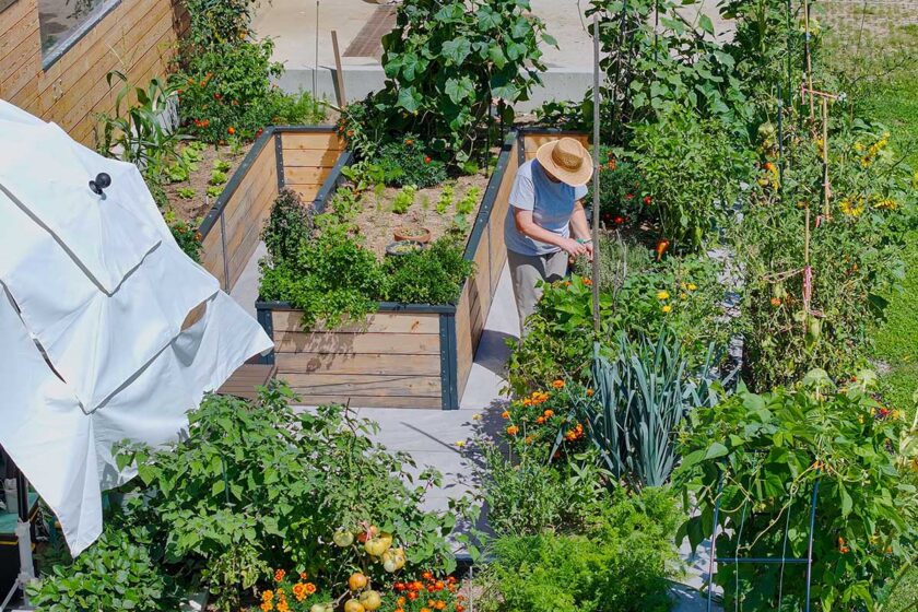 Starostlivosť o vyvýšené záhony