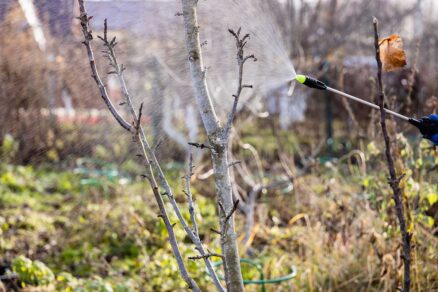 Chemická ochrana záhrady predjarnými postrekmi