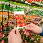 Najčastejšie chyby pri nakupovaní semien do záhrady