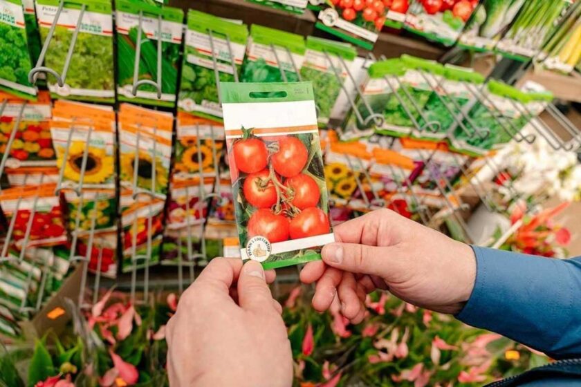 Najčastejšie chyby pri nakupovaní semien do záhrady